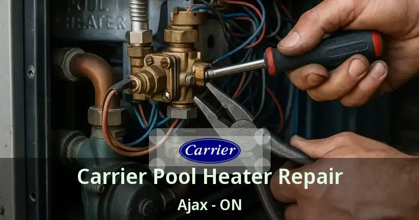 Carrier Pool Heater Repair Ajax - ON
